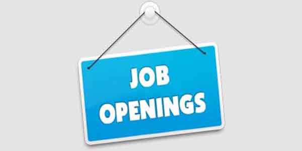 BECIL Recruitment 2020-21